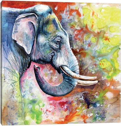 Beautiful Elephant Canvas Art Print - Anna Brigitta Kovacs