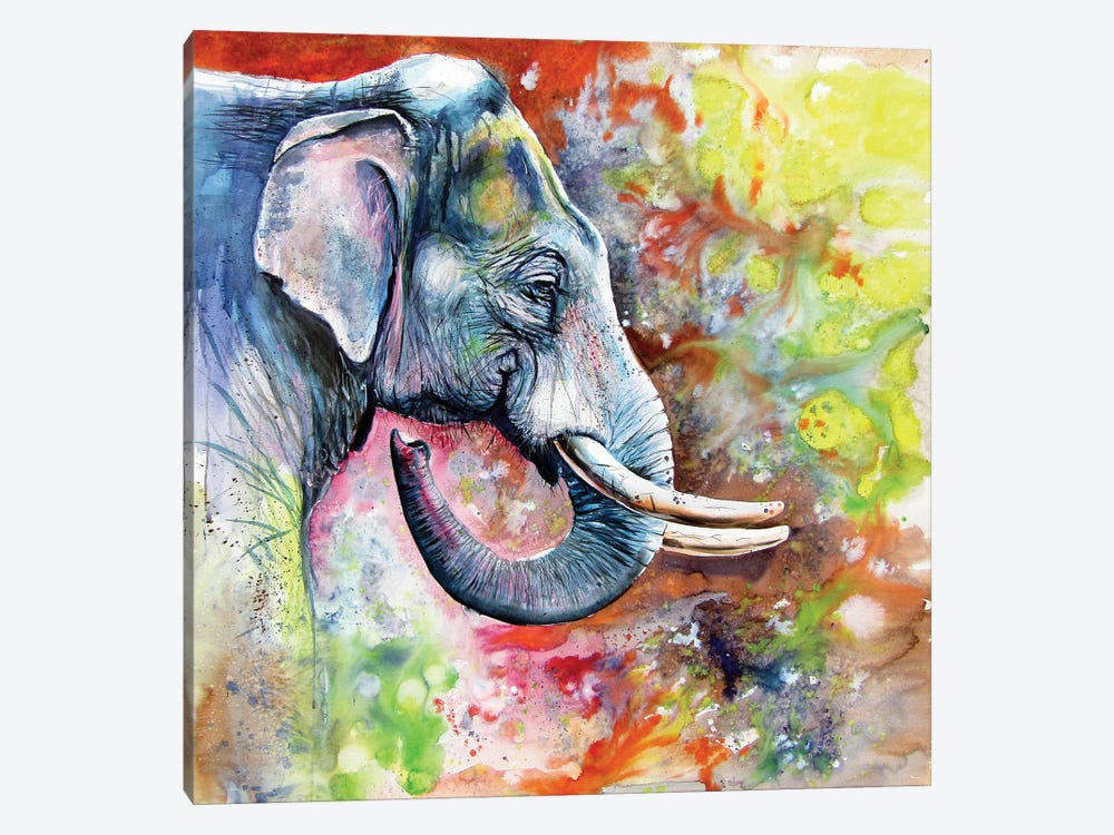 Beautiful Elephant by Anna Brigitta Kovacs 1-piece Art Print