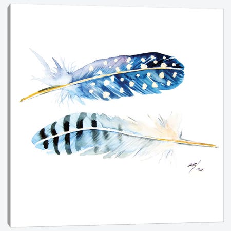 Feathers Canvas Print #AKV156} by Anna Brigitta Kovacs Canvas Print