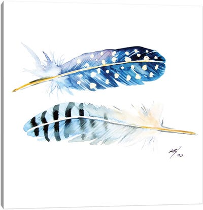 Feathers Canvas Art Print - Anna Brigitta Kovacs