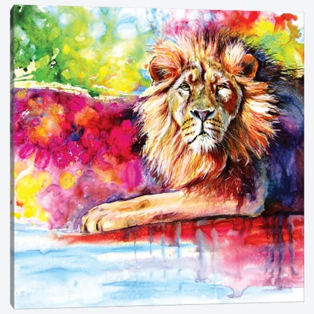 Lion Canvas Print #AKV157} by Anna Brigitta Kovacs Art Print