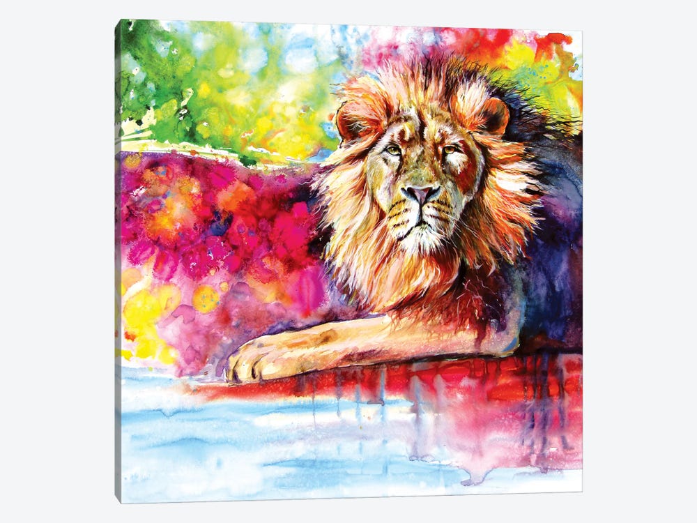 Lion by Anna Brigitta Kovacs 1-piece Canvas Print
