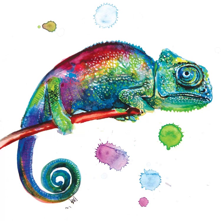 Chameleon