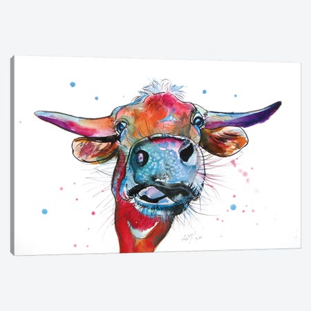 Cute Cow Canvas Print #AKV160} by Anna Brigitta Kovacs Canvas Print