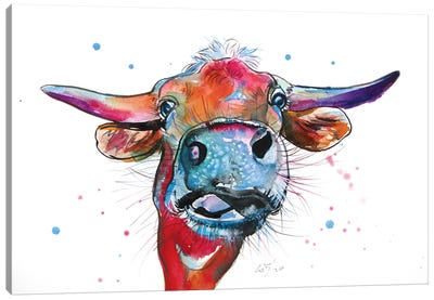 Cute Cow Canvas Art Print - Anna Brigitta Kovacs