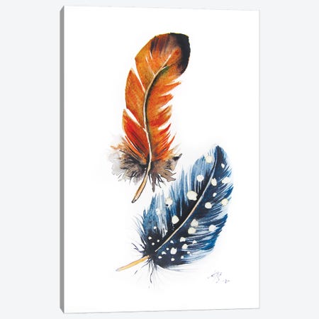 Feathers II Canvas Print #AKV161} by Anna Brigitta Kovacs Canvas Print