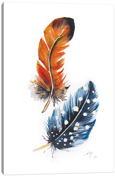 Feathers II Canvas Art Print - Anna Brigitta Kovacs