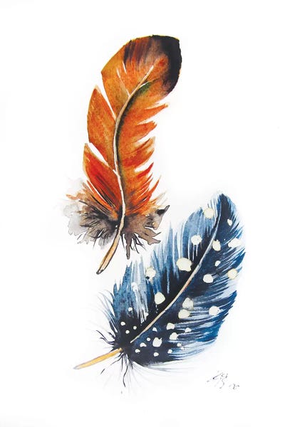 Anna Brigitta Kovacs: Feathers II by Anna Brigitta Kovacs