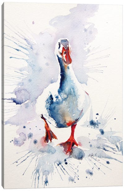 White Duck Canvas Art Print - Anna Brigitta Kovacs