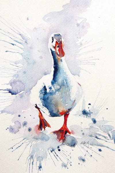 Anna Brigitta Kovacs: White Duck by Anna Brigitta Kovacs