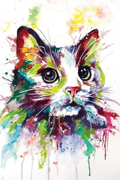 Colorful Cat by Anna Brigitta Kovacs canvas print