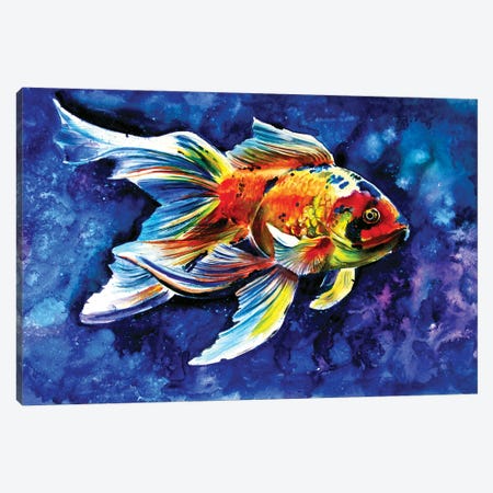 Goldfish Canvas Print #AKV171} by Anna Brigitta Kovacs Canvas Art