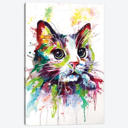 Colorful Cat Canvas Print #AKV17} by Anna Brigitta Kovacs Canvas Art