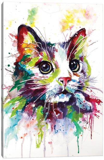 Colorful Cat Canvas Art Print - Anna Brigitta Kovacs