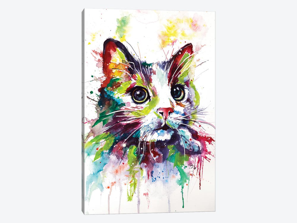 Colorful Cat by Anna Brigitta Kovacs 1-piece Canvas Art
