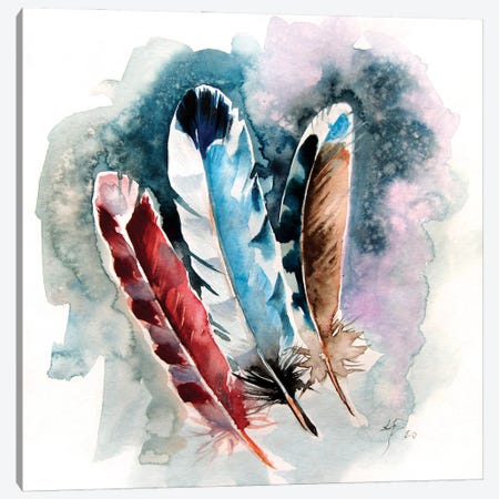 Feathers III Canvas Print #AKV184} by Anna Brigitta Kovacs Canvas Art