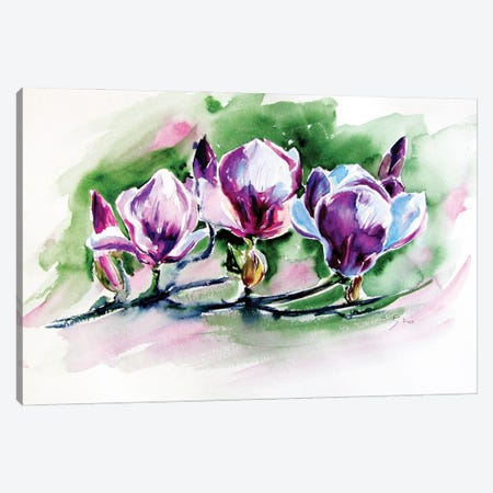Magnolia Tree Canvas Print #AKV187} by Anna Brigitta Kovacs Canvas Artwork