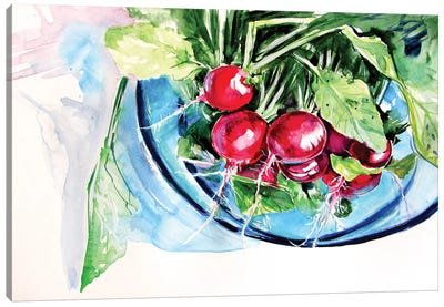 Still Life With Radish Canvas Art Print - Vegetable Art