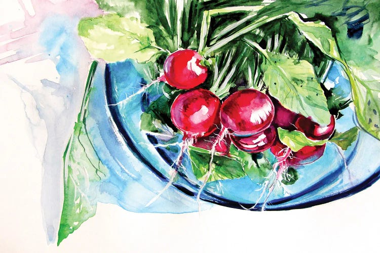 Still Life With Radish