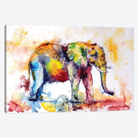 Colorful Elephant I Canvas Print #AKV18} by Anna Brigitta Kovacs Art Print