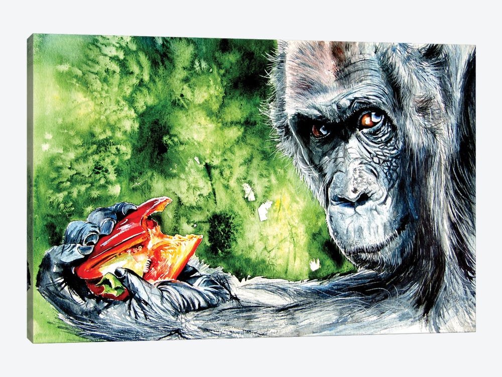 Eating Chimpanzee by Anna Brigitta Kovacs 1-piece Art Print