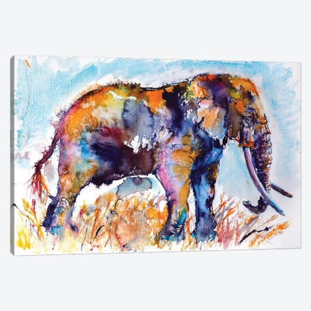Colorful Elephant II Canvas Print #AKV19} by Anna Brigitta Kovacs Art Print