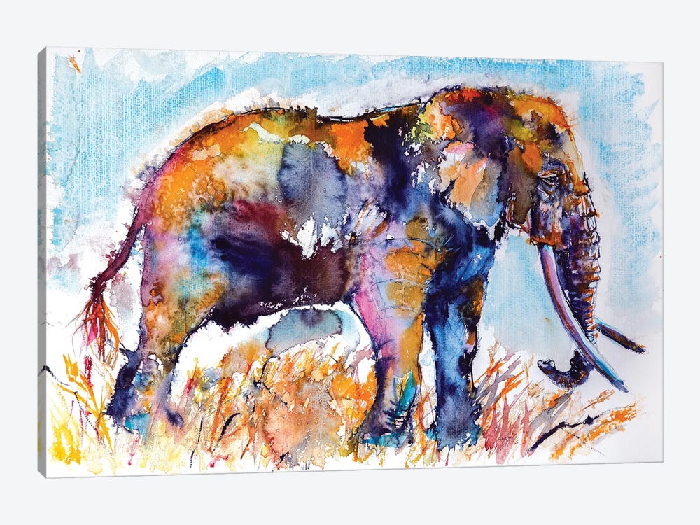 Colorful Elephant II by Anna Brigitta Kovacs 1-piece Canvas Wall Art