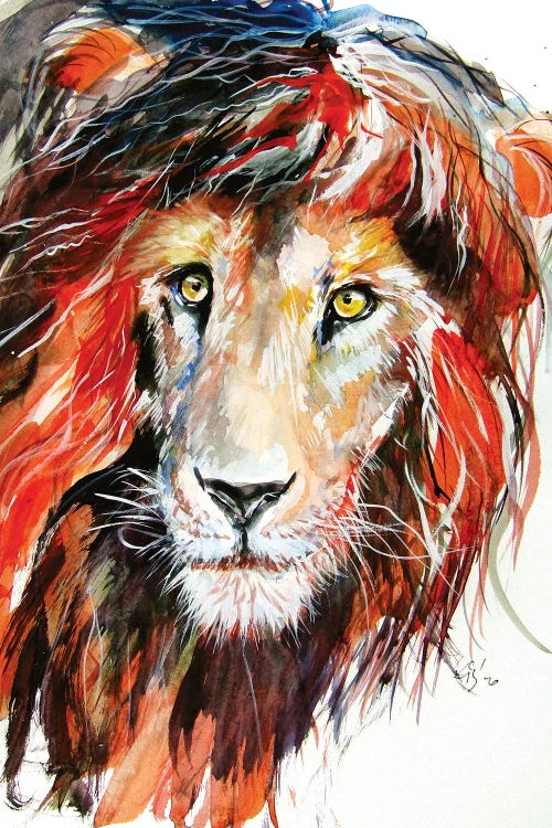 Lion Portrait