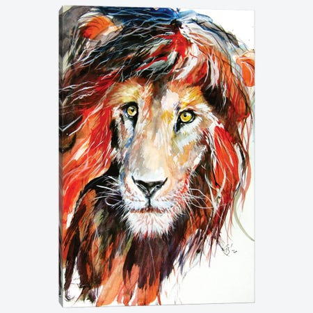 Lion Portrait Canvas Print #AKV200} by Anna Brigitta Kovacs Canvas Art