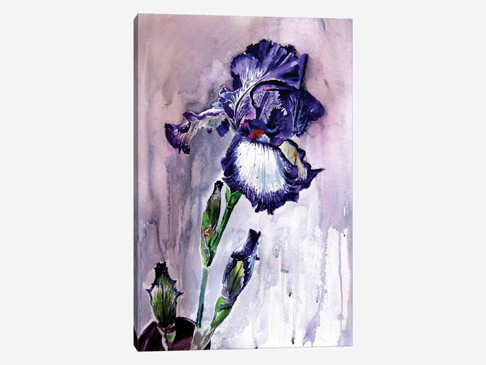 Purple Lily by Anna Brigitta Kovacs 1-piece Canvas Wall Art