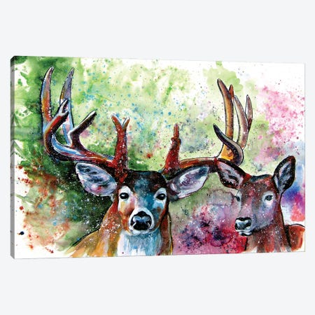 Deer Watching Canvas Print #AKV204} by Anna Brigitta Kovacs Canvas Art Print