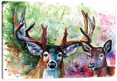 Deer Watching Canvas Art Print - Anna Brigitta Kovacs