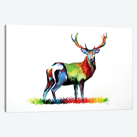 Colorful Deer Canvas Print #AKV205} by Anna Brigitta Kovacs Canvas Art Print
