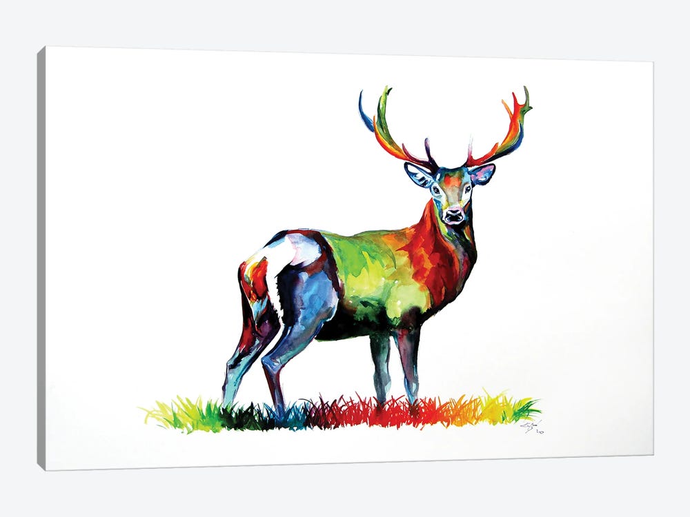 Colorful Deer by Anna Brigitta Kovacs 1-piece Canvas Artwork