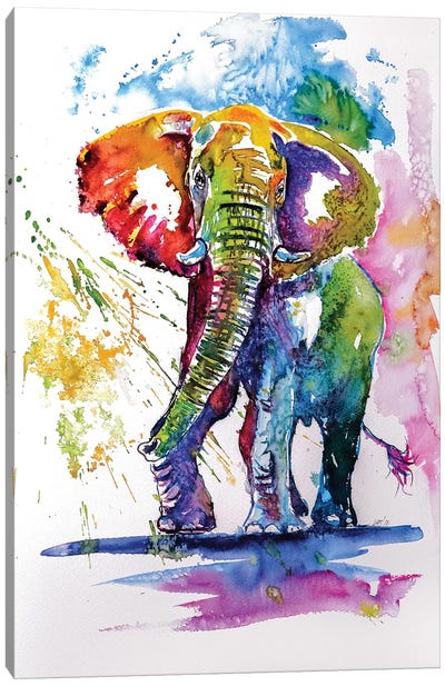Colorful Elephant III Canvas Art Print - Anna Brigitta Kovacs