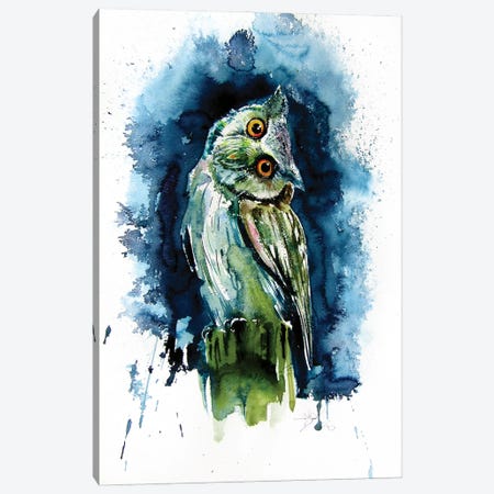 Owl Watching At Night Canvas Print #AKV219} by Anna Brigitta Kovacs Art Print