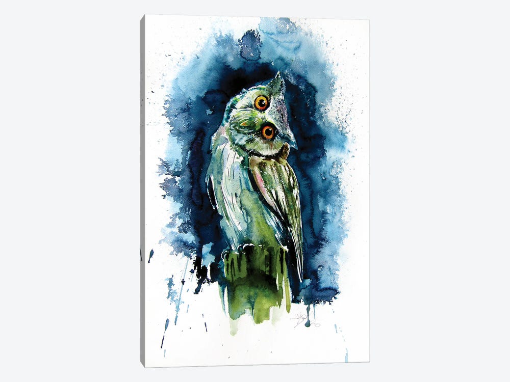 Owl Watching At Night by Anna Brigitta Kovacs 1-piece Canvas Art Print