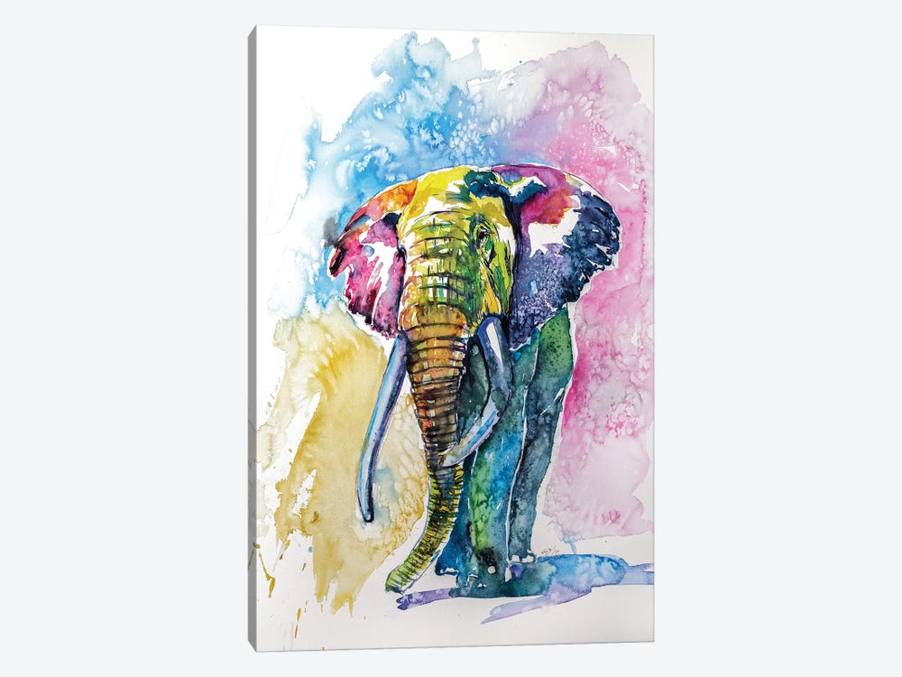 Colorful Elephant IV by Anna Brigitta Kovacs 1-piece Canvas Print
