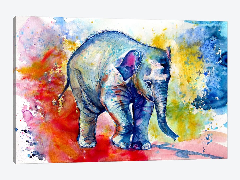 Elephant Baby Alone by Anna Brigitta Kovacs 1-piece Canvas Wall Art