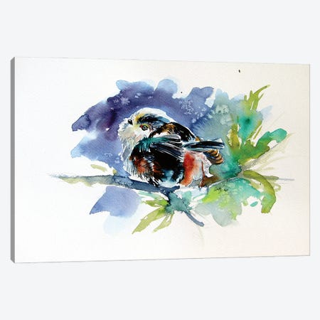 Little Bird Canvas Print #AKV226} by Anna Brigitta Kovacs Art Print