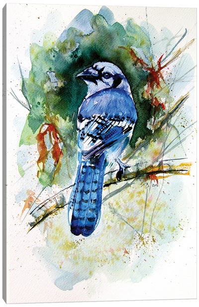 Blue Bird Canvas Art Print - Anna Brigitta Kovacs