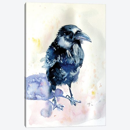 Raven Canvas Print #AKV228} by Anna Brigitta Kovacs Canvas Art