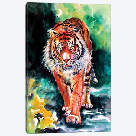 Tiger In Forest Canvas Print #AKV229} by Anna Brigitta Kovacs Canvas Artwork