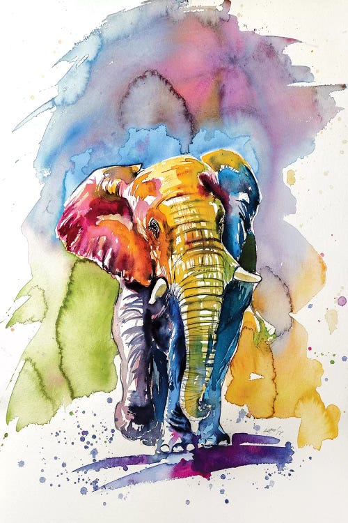 Colorful Elephant V