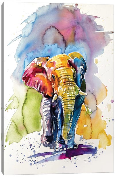 Colorful Elephant V Canvas Art Print - Anna Brigitta Kovacs