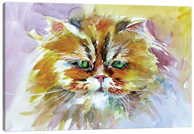 Cute Cat Canvas Art Print - Persian Cat Art