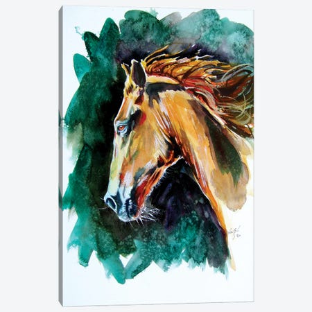 Majestic Horse Canvas Print #AKV233} by Anna Brigitta Kovacs Canvas Art Print