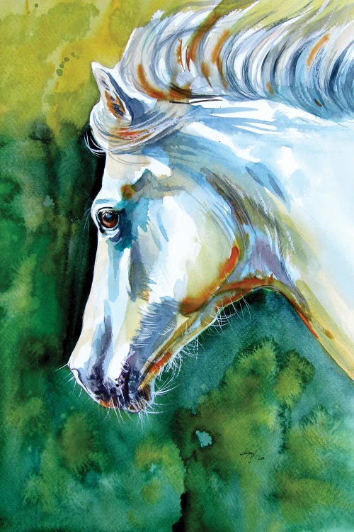 Majestic White Horse