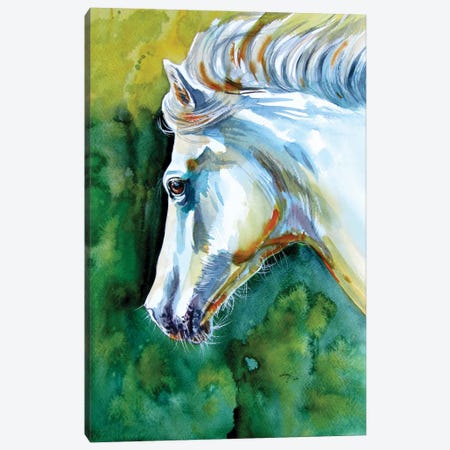 Majestic White Horse Canvas Print #AKV236} by Anna Brigitta Kovacs Canvas Art