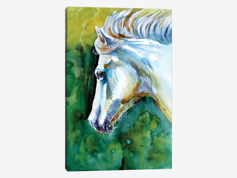 Majestic White Horse by Anna Brigitta Kovacs 1-piece Canvas Artwork